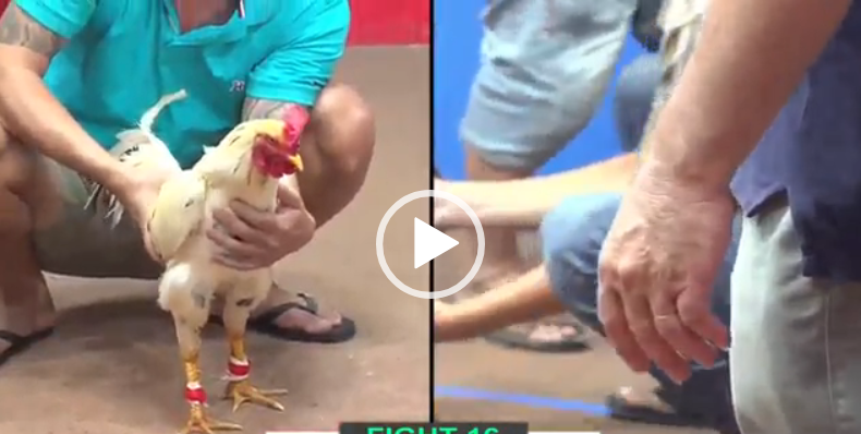 BẢO STING VS HOÀNG PHI HẢI TRẬN 16 CPC2 NGÀY 17/07/2024 10 bảo sting vs hoàng phi hải