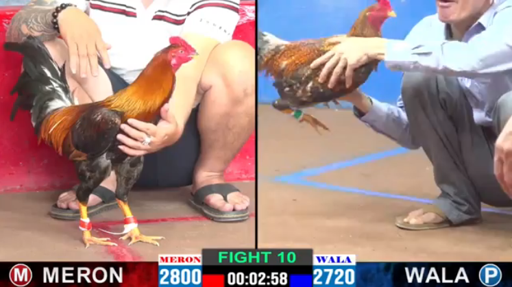 Anh Tây vs Mỹ Liều - Trận 10 CPC2 ngày 09-08-2024 1 anh-tay-vs-my-lieu-tran-10-cpc2-ngay-09-08-2024