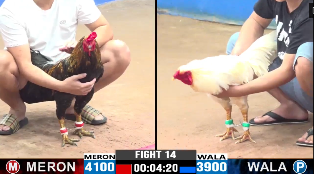 Dự Bảo Lộc vs Anh Lìn - Trận 14 CPC3 ngày 11/08/2024 5 du-bao-loc-vs-anh-lin-tran-14-cpc3-ngay-11-08-2024