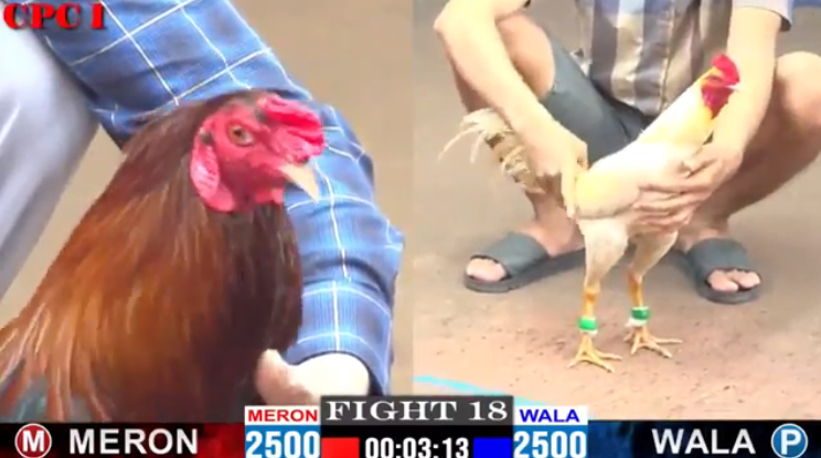 Trận 18 CPC1 Anh Mỹ Liều vs Anh Duyên Ti ngày 03/08/2024 3 tran-18-cpc1-my-lieu-vs-duyen-ti