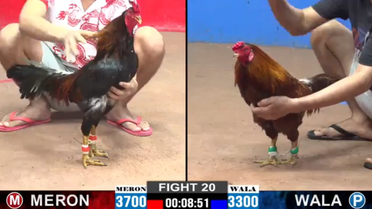 Anh Sô vs Bảo Sting - Trận 20 CPC2 Ngày 04/09/2024 9 anh-so-vs-bao-sting-tran-20-cpc2-ngay-04-09-2024