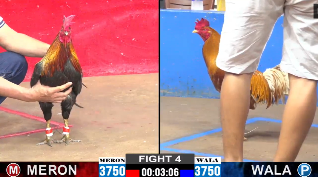 Anh Khanh vs Bảo Sting - Trận 4 CPC2 ngày 15/11/2024 6 anh khanh vs bảo sting trận 4 cpc2 ngày 15/11/2024