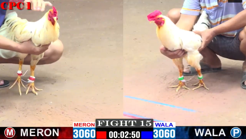 Danh Long An vs Mít Trà Cú - Trận 15 tại CPC1 ngày 14/11/2024 5 Danh long an vs mít trà cú trận 15