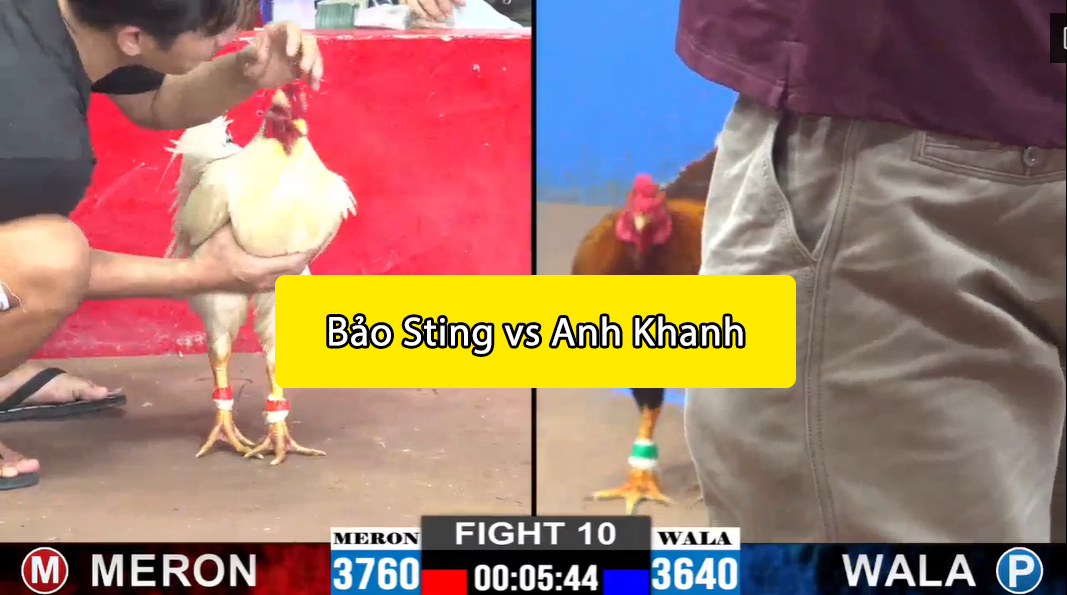 Trận 10 CPC2 ngày 15/11/2024 - Bảo Sting đổi gió MERON 3 trận 10 cpc2 ngày 15/11/2024 bảo sitng vs anh khanh