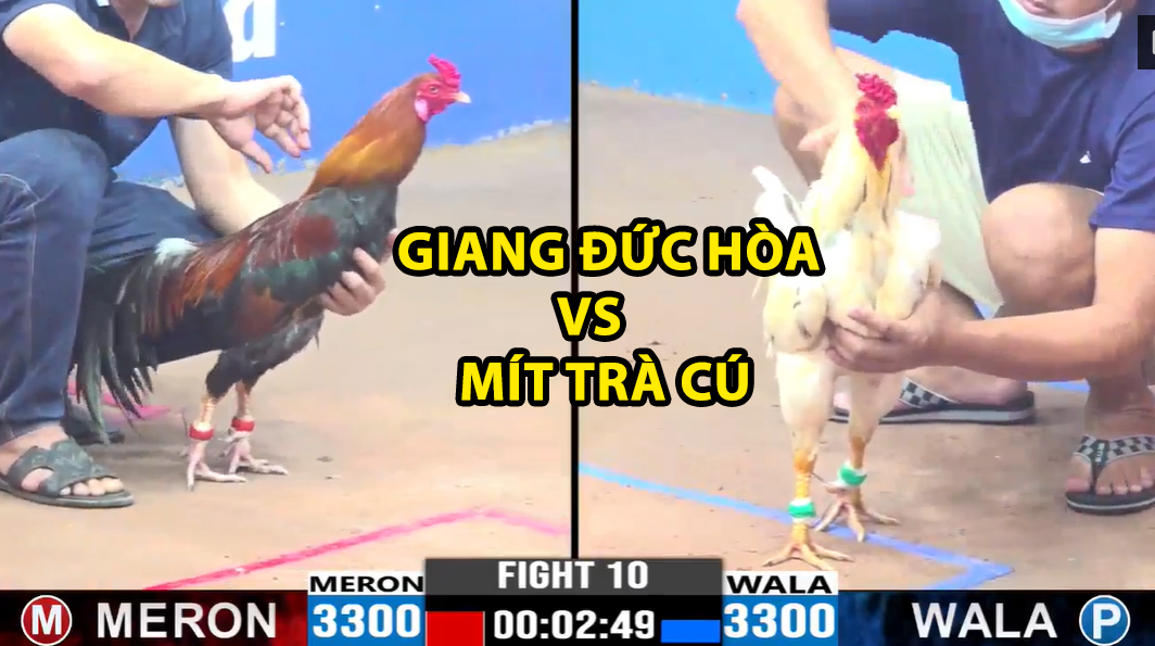 Trận 10 CPC3 ngày 19/11/2024 - Mít Trà Cú thắng xổ trận đầu 3 trận 10 cpc3 ngày 19/11/2024 giang đức hòa vs mít trà cú