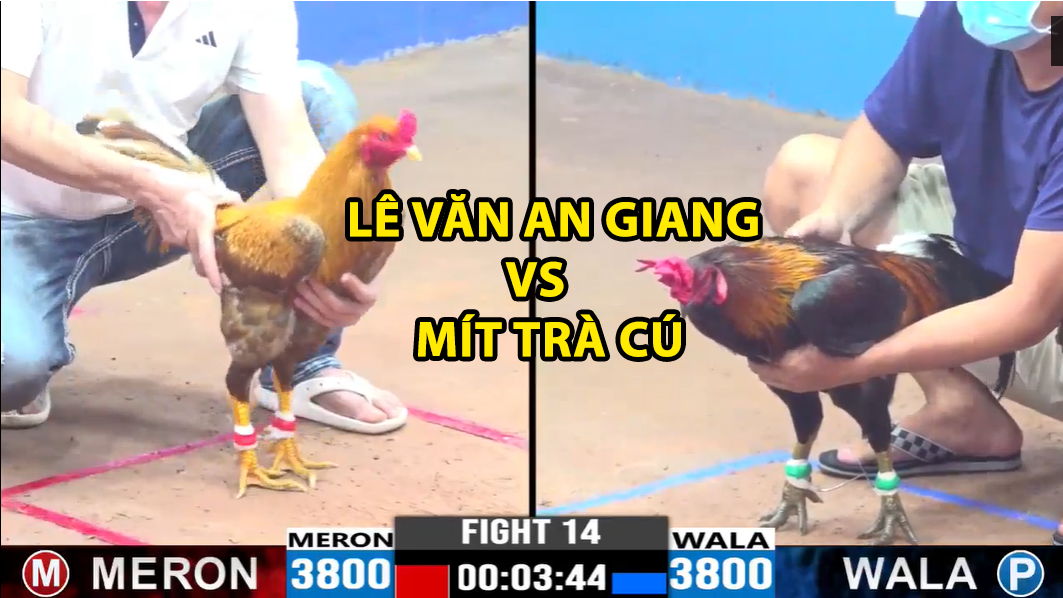 Trận 14 CPC3 ngày 19/11/2024 - Mít Trà Cú đụng phải khét cọp 2 trận 14 cpc3 ngày 19/11/2024 lê văn an giang vs mít trà cu