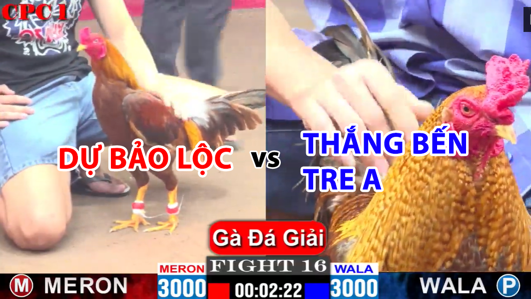 Trận 16 CPC1 ngày 23/11/2024 - Dự Bảo Lộc thắng trận đầu đá giải 4 trận 16 cpc1 ngày 23/11/2024 dự bảo lộc vs thắng bên tre a