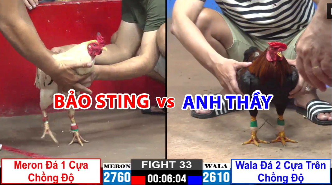Trận 33 CPC2 ngày 22/11/2024 - Bảo Sting vs Anh Thầy 2 bên chồng độ 8 trận 33 cpc2 ngày 22/11/2024 bảo sting vs anh thầy
