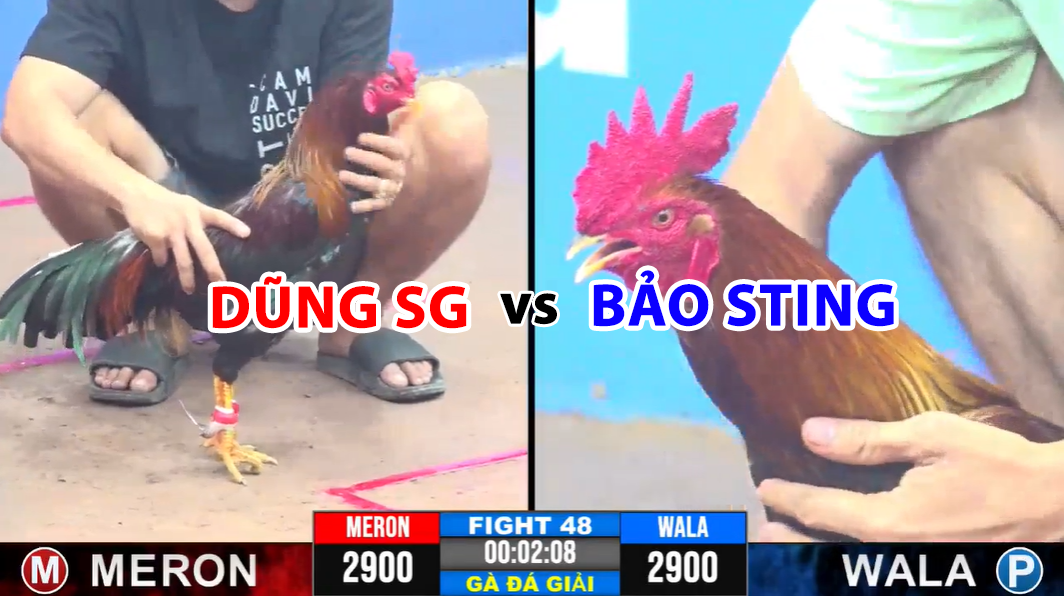 Trận 48 CPC3 ngày 19/11/2024 - Bảo Sting 3 vòng 0 điểm 2 trận 48 cpc3 ngày 19/11/2024 dũng sài gòn vs bảo sting