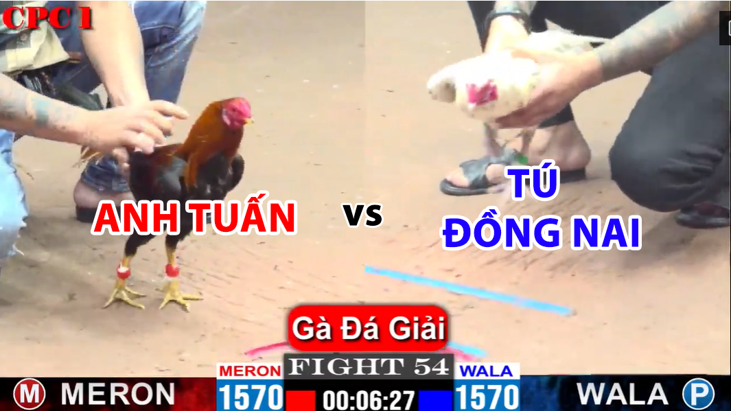 Trận 54 CPC1 ngày 28/11/2024 - Trận chung kết Tú Đồng Nai và Anh Tuấn 6 trận 54 cpc1 ngày 28/11/2024 chung kết hôm nay anh tuấn vs tú đồng nai