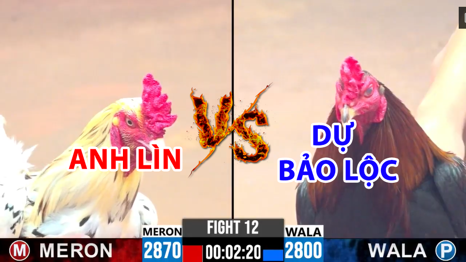 Trận 12 CPC3 ngày 17/12/2024 - Dự Bảo Lộc thả gà điều lụm xổ 100tr 9 trận 12 cpc2 ngày 17/12/2024 hôm nay giữa dự bảo lộc vs anh lìn