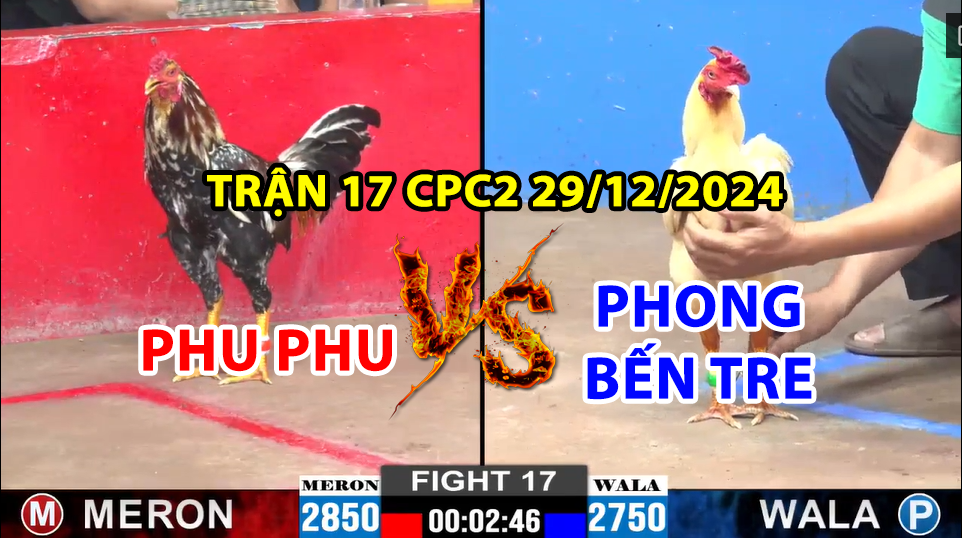 Trận 17 CPC2 ngày 29/12/2024 - Gà bông Phu Phu chân tốt vừa đâm vừa sạc 10 trận 17 cpc2 ngày 29/12/2024 hôm nay giữa phu phu và phong bến tre