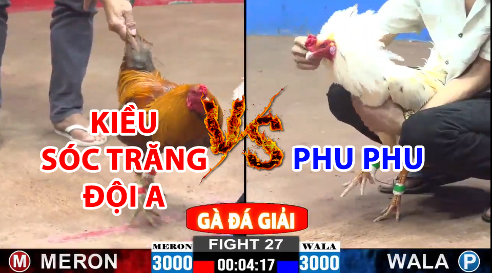 Trận 27 CPC2 ngày 22/12/2024 - Gà khét anh Kiều Sóc Trăng Đội A hạ đẹp Phu Phu 8 trận 27 cpc2 ngày 22/12/2024 hôm nay giữa phu phu và kiều sóc trăng đội a