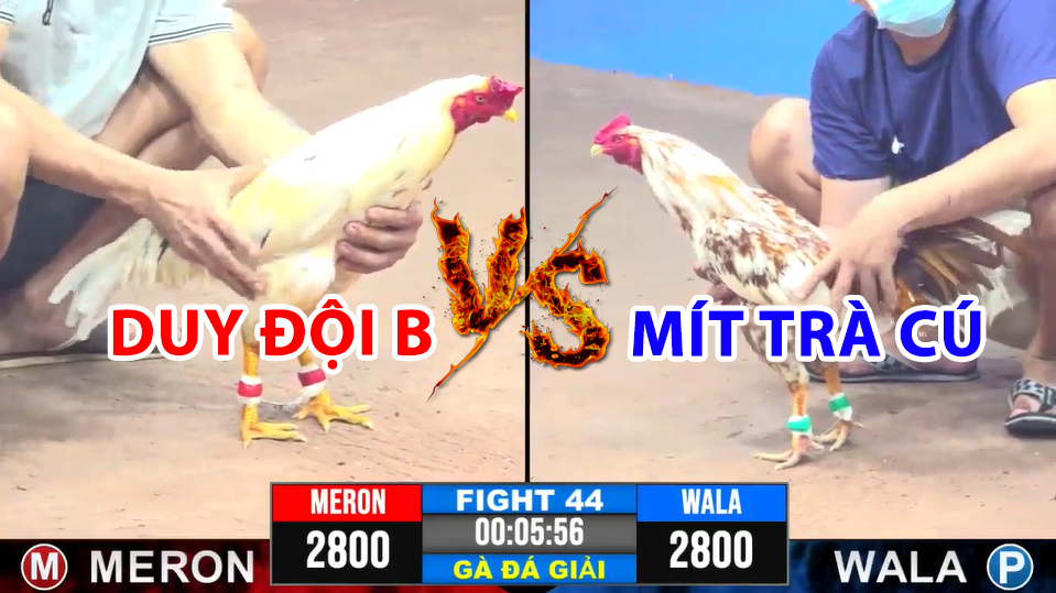 Trận 44 CPC2 ngày 17/12/2024 - Mít Trà Cú vs Duy Đội B 4 trận 44 cpc3 ngày 17/12/2024 hôm nay giữa mít trà cú vs duy đội b