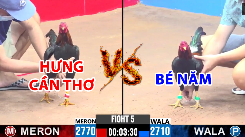 Trận 5 CPC3 ngày 17/12/2024 - Hưng Cần Thơ cả chủ và gà cùng nhau gồng 1 trận 5 cpc3 ngày 17/12/2024 hôm nay giữa hưng cần thơ vs bé năm