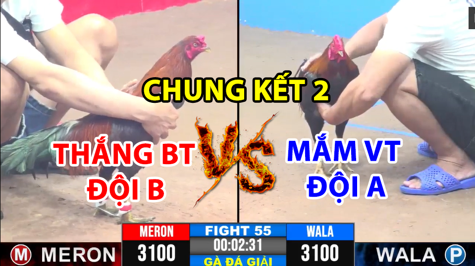 Trận 55 CPC3 ngày 27/12/2024 - Thắng Đội B và Mắm Đội A gặp nhau trận Chung Kết 2 3 trận 55 cpc3 ngày 27/12/2024 hôm nay giữa thắng bến tre b và mẵm vũng tàu a chung kết 2