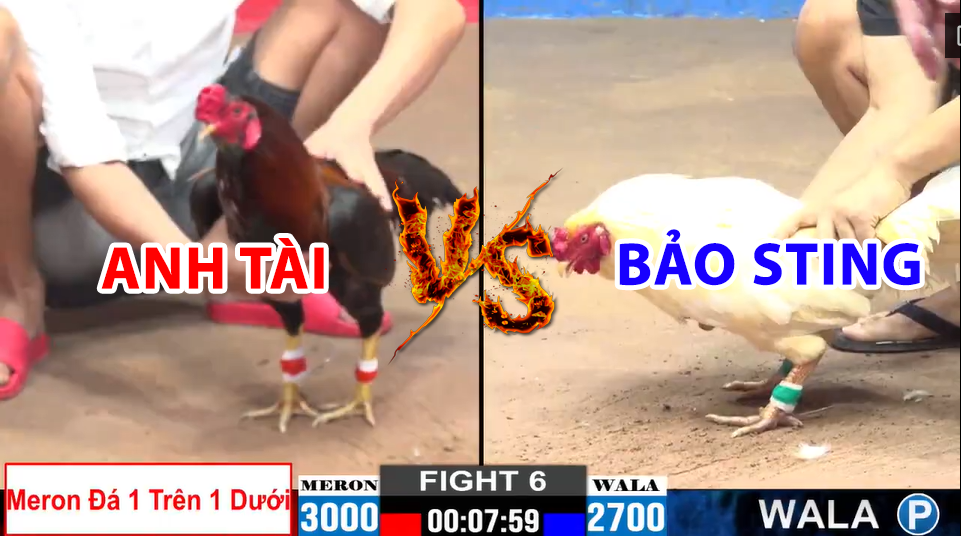 trận 6 cpc2 ngày 15/12/2024 hôm nay bảo sting vs anh tài