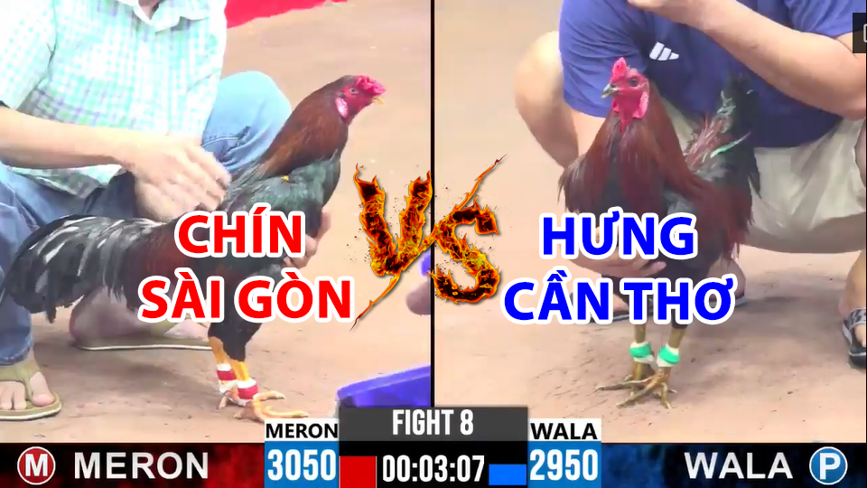 Trận 8 CPC3 ngày 17/12/2024 - Hưng Cần Thơ mất cái xổ 100tr về tay Chín Sài Gòn 10 trận 8 cpc3 ngày 17/12/2024 hôm nay giữa hưng cần thơ vs chín sài gòn