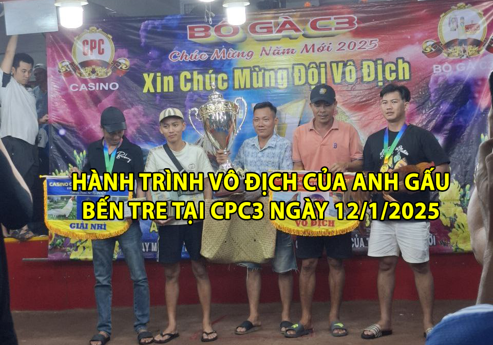 Hành Trình Vô Địch Của Anh Gấu Bến Tre tại CPC3 ngày 12/1/2025 1 hành trình vô địch của anh gấu bến tre tại cpc3 ngày 12/1/2025