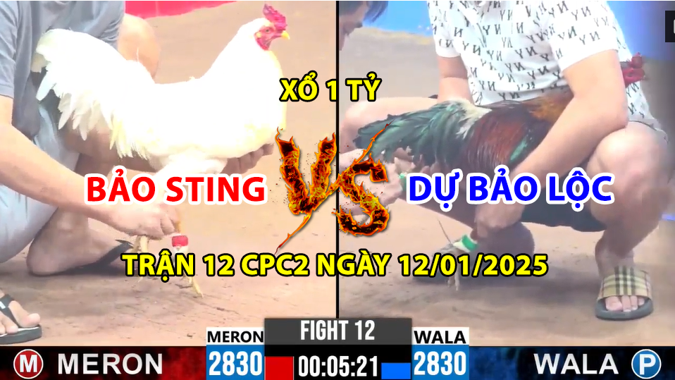 Trận 12 CPC3 ngày 12/01/2025 - Bảo Sting vs Dự Bảo Lộc xổ lớn 1 tỷ 2 trận 12 cpc3 ngày 12/01/2025 hôm nay giữa bảo sting vs dự bảo lộc