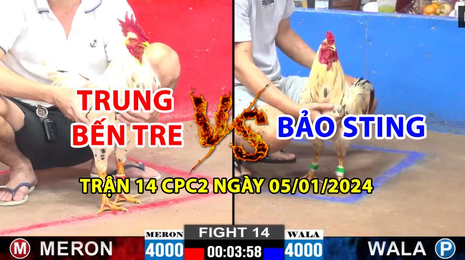 Trận 14 CPC2 ngày 05/01/2025 - Bảo Sting thả gà ăn đứt đối thủ anh Trung BT 5 trận 14 cpc2 ngày 05/01/2025 hôm nay giữa trung bến tre và bảo sting