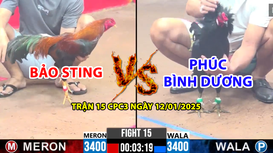 Trận 15 CPC3 ngày 12/01/2025 - Bảo Sting vs Chú Phúc Bình Dương xổ lớn 500 tr 2 trận 15 cpc3 ngày 12/01/2025 hôm nay giữa bảo sting vs phúc bình dương