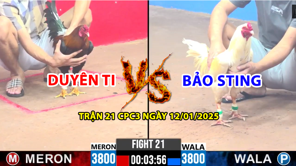 Trận 21 CPC3 ngày 12/01/2025 - Duyên Ti vs Bảo Sting lại lần nữa bị đả bại 9 trận 21 cpc3 ngày 12/01/2025 hôm nay giữa duyên ti vs bảo sting