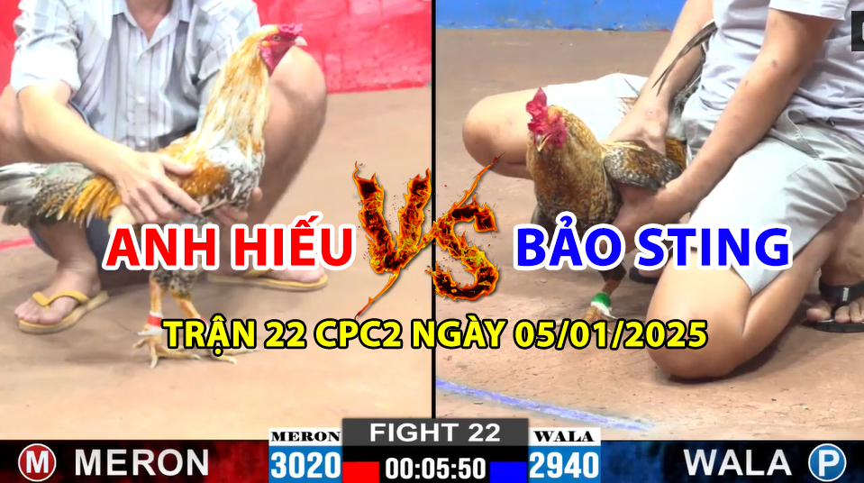 Trận 22 CPC2 ngày 05/01/2024 - Gà cú vàng của Bảo Sting bị anh Hiếu cầm hòa 3 trận 22 cpc2 ngày 05/01/2025 hôm nay giữa anh hiếu và bảo sting