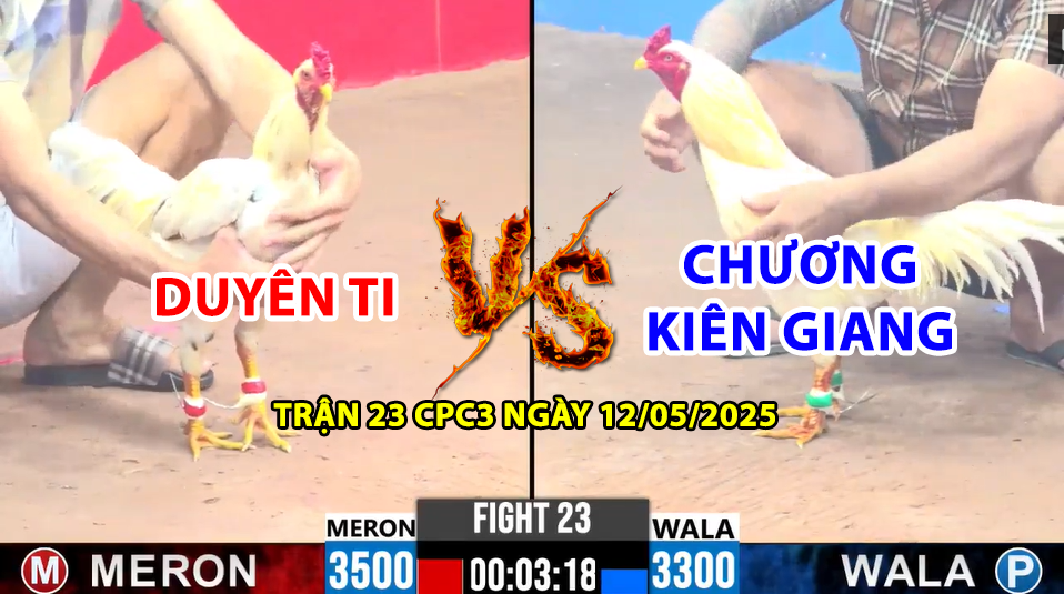 Trận 23 CPC3 ngày 12/01/2025 - Duyên Ti tiếp tục để thua trận thứ 3 ngày hôm nay 8 trận 23 cpc3 ngày 12/01/2025 hôm nay giữa duyên ti vs chương kiên giang