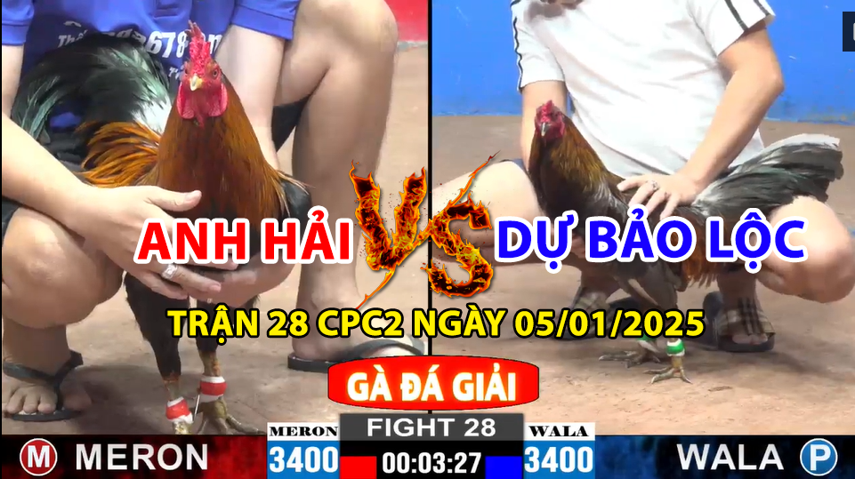 Trận 28 CPC2 ngày 05/01/2025 - Dự Bảo Lộc và anh Hải gặp nhau trận đầu 4 trận 28 cpc2 ngày 05/01/2025 hôm nay giữa anh hải và dự bảo lộc