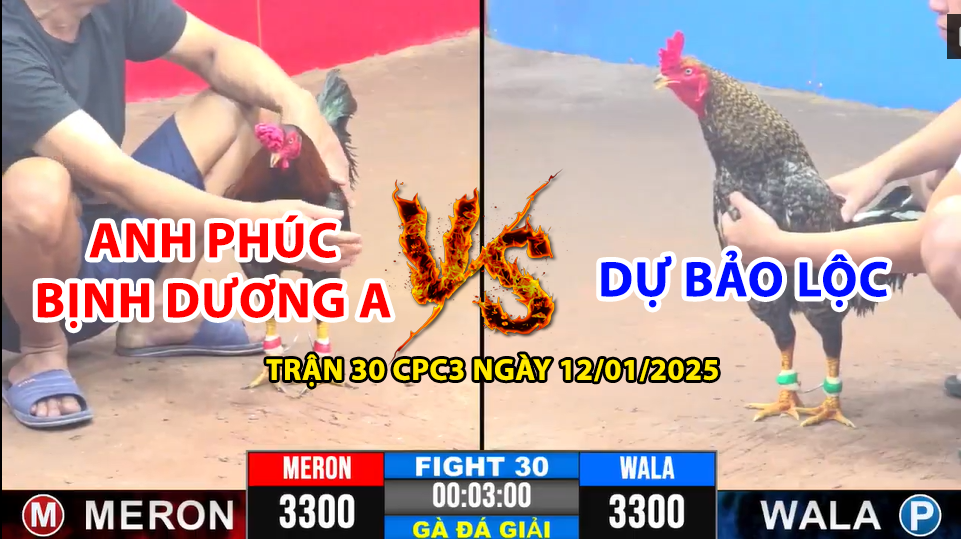 Trận 30 CPC3 ngày 12/01/2025 - Anh Phúc Bình Dương A vs Dự Bảo Lộc 1 trận 30 cpc3 ngày 12/01/2025 hôm nay giữa anh phúc bình dương a vs dự bảo lộc