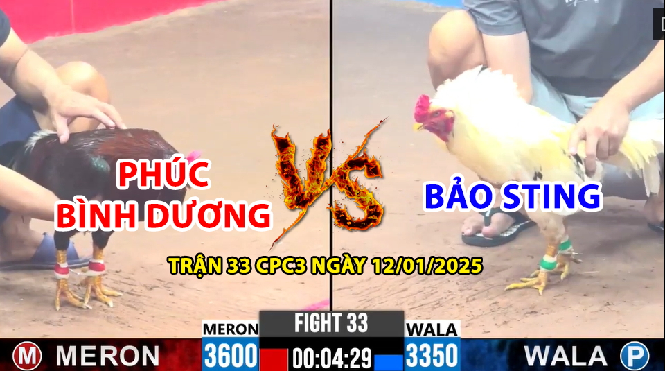 Trận 33 CPC3 ngày 12/01/2025 - Anh Phúc Bình Dương vs Bảo Sting 4 trận 33 cpc3 ngày 12/01/2025 hôm nay giữa phúc bình dương vs bảo sting