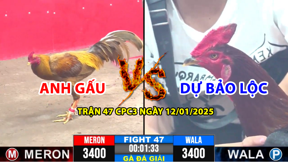 Trận 47 CPC3 ngày 12/01/2025 - Anh Gấu vs Dự Bảo Lộc 10 TRẬN 47 CPC3 NGÀY 12/01/2025 HÔM NAY GIỮA ANH GẤU VS DỰ BẢO LỘC