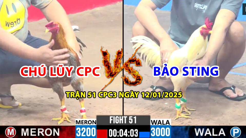 TRẬN 51 CPC3 NGÀY 12/01/2025 - BẢO STING VS CHÚ LŨY CAMPUCHIA 9 trận 51 cpc3 ngày 12/01/2025 hôm nay giữa chú lũy vs bảo sting