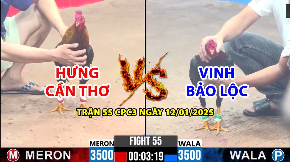 TRẬN 55 CPC3 NGÀY 12/01/2025 - HƯNG CẦN THƠ VS VINH BẢO LỘC 9 trận 55 cpc3 ngày 12/01/2025 hôm nay giữa hưng cần thơ vs vinh bảo lộc
