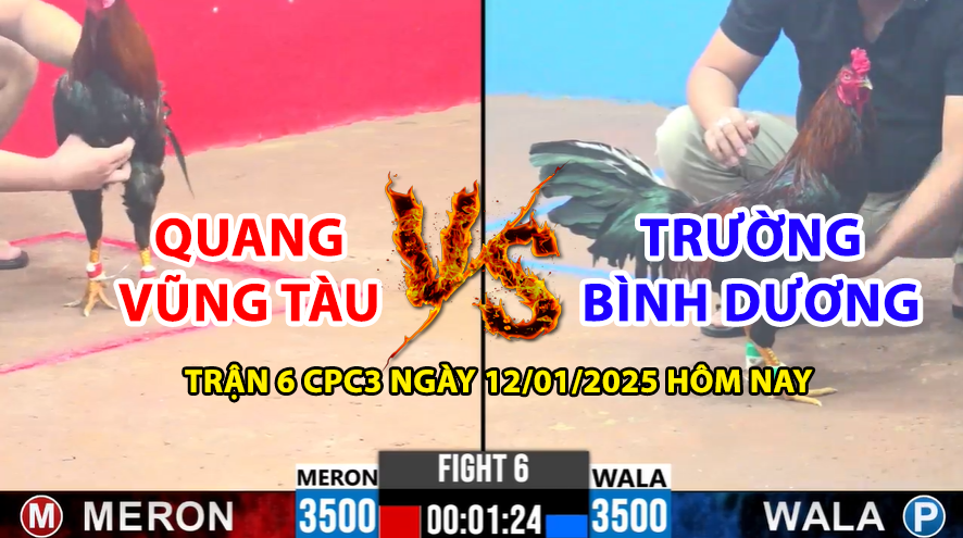 Trận 6 CPC3 ngày 12/01/2025 - Quang Vũng Tàu kéo về cho anh em 10 tỏi 5 trận 6 cpc3 ngày 12/01/2025 hôm nay quang vũng tàu và trường bình dương