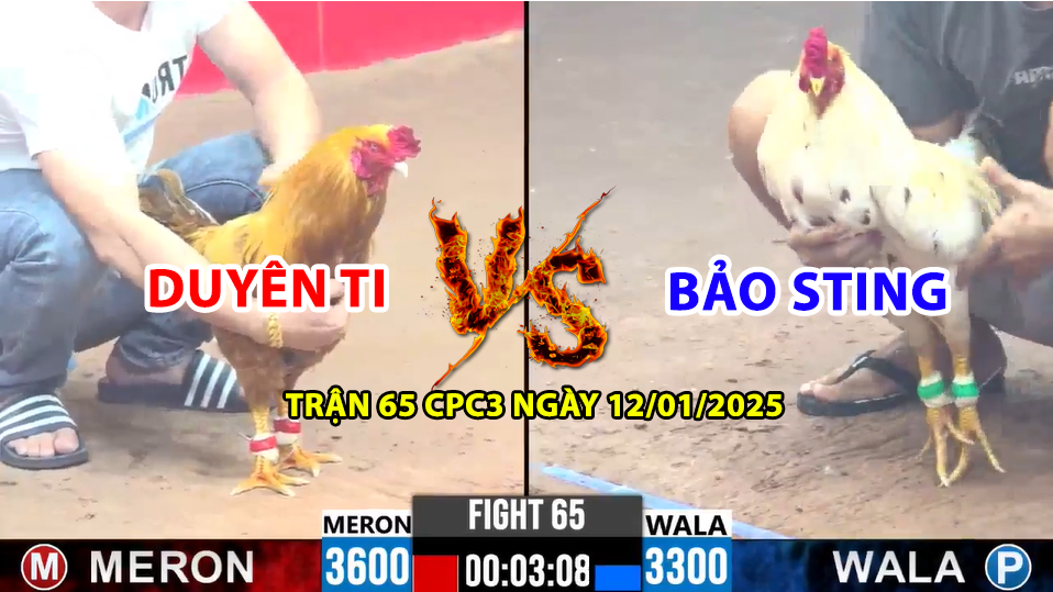 TRẬN 65 CPC3 NGÀY 12/01/2025 - DUYÊN TI VS BẢO STING 2 IDOL TIẾP TỤC INNOVA 3 trận 65 cpc3 ngày 12/01/2025 hôm nay giữa duyên ti vs bảo sting