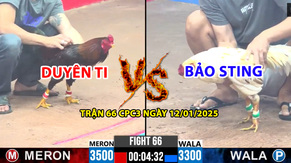 TRẬN 66 CPC3 NGÀY 12/01/2025 - DUYÊN TI VS BẢO STING TỐC CHIẾN TỐC THẮNG 2 trận 66 cpc3 ngày 12/01/2025 hôm nay giữa duyên ti vs bảo sting