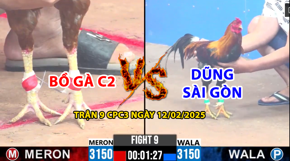 Trận 9 CPC3 ngày 12/01/2025 - Giao lưu giữa Bồ Gà 999 và Dũng Sài Gòn 4 trận 9 cpc3 ngày 12/01/2025 hôm nay giữa bồ gà 999 và dũng sài gòn