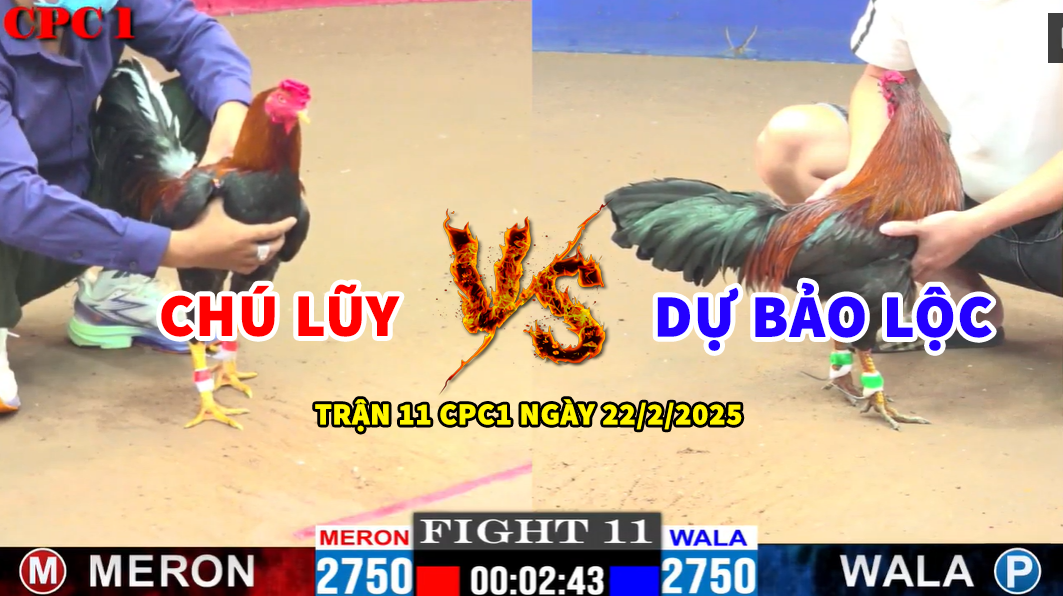 TRẬN 11 CPC1 NGÀY 22/2/2025 - DỰ BẢO LỘC VS CHÚ LŨY CPC 9 trận 11 cpc1 ngày 22/2/2025 hôm nay dự bảo lộc vs chú lũy cpc