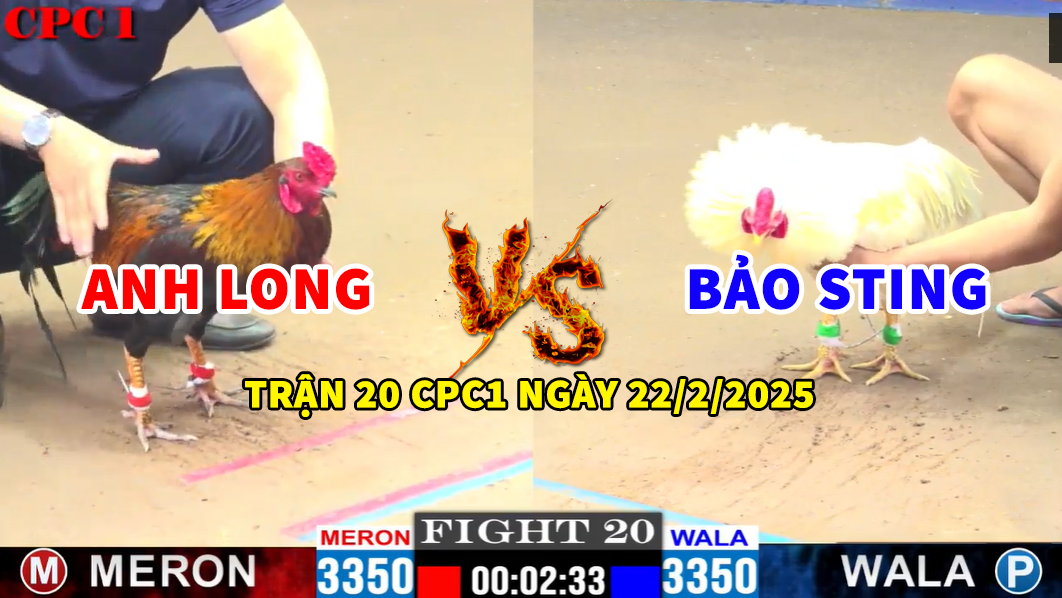 TRẬN 20 CPC1 NGÀY 22/2/2025 - BẢO STING VS ANH LONG 2 trận 20 cpc1 ngày 22/2/2025 hôm nay anh long vs bảo sting