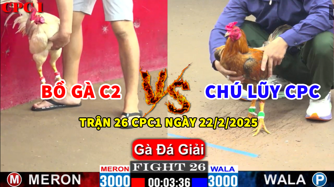 TRẬN 26 CPC1 NGÀY 22/2/2025 - BỒ GÀ C2 VS CHÚ LŨY CPC 1 trận 26 cpc1 ngày 22/2/2025 hôm nay bảo sting vs chú lũy cpc