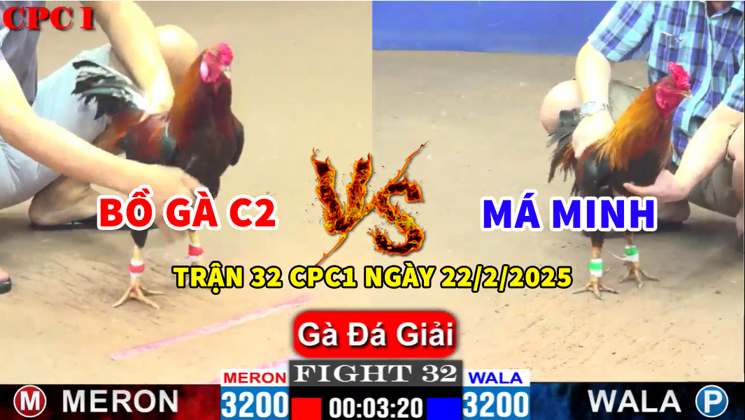 TRẬN 32 CPC1 NGÀY 22/2/2025 - BẢO STING THẢ GÀ CHO BỒ GÀ C2 VS MÁ MINH 10 trận 32 cpc1 ngày 22/2/2025 hôm nay giữa bảo sting vs má minh