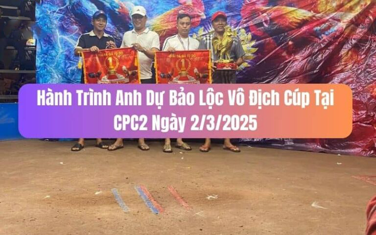 HÀNH TRÌNH VÔ ĐỊCH CỦA DỰ BẢO LỘC TẠI CPC2 NGÀY 2/3/2025 7 hành trình vô địch của dự bảo lộc tại cpc2 ngày 2/3/2025 hôm nay