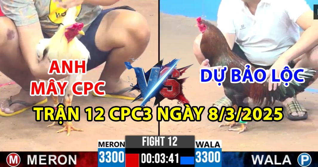 TRẬN 12 CPC3 NGÀY 8/3/2025 - GÀ ĐIỀU XANH CHÍNH HIỆU CỦA DỰ BẢO LỘC 4 trận 12 cpc3 ngày 8/3/2025 hôm nay giữa dự bảo lộc và anh mây cpc