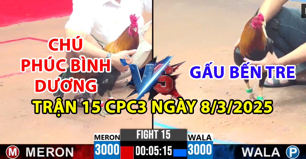 TRẬN 15 CPC3 NGÀY 8/3/2025 - ĐIỀU XANH CỦA CHÚ PHÚC BÌNH DƯƠNG 5 trận 15 cpc3 ngày 8/3/2025 hôm nay giữa phúc bình dương và gấu bến tre