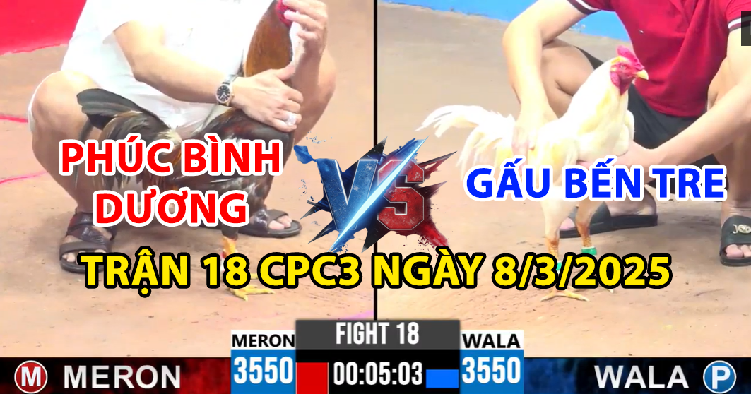TRẬN 18 CPC3 NGÀY 8/3/2025 - PHÚC BÌNH DƯƠNG VÀ GẤU BẾN TRE TÁI ĐẤU 4 trận 18 cpc3 ngày 8/3/2025 hôm nay giữa anh gấu bến tre và phúc bình dương