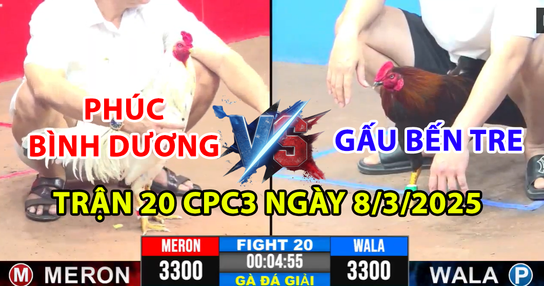 TRẬN 20 CPC3 NGÀY 8/3/2025 - CHÚ PHÚC BÌNH DƯƠNG A CÓ 3 ĐIỂM ĐẦU TIÊN 3 trận 20 cpc3 ngày 8/3/2025 hôm nay giữa phúc bình dương a và gấu bến tre a