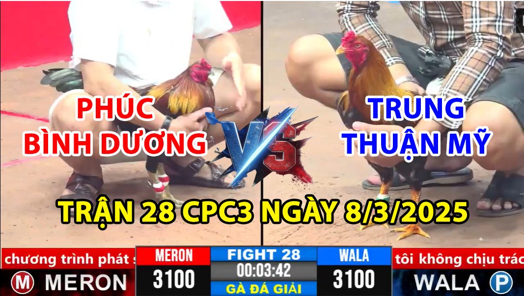 TRẬN 28 CPC3 NGÀY 8/3/2025 - PHÚC BÌNH DƯƠNG B VÀ TRUNG THUẬN MỸ 1 trận 28 cpc3 ngày 8/3/2025 hôm nay giữa chú phúc bình dương và trung thuận mỹ