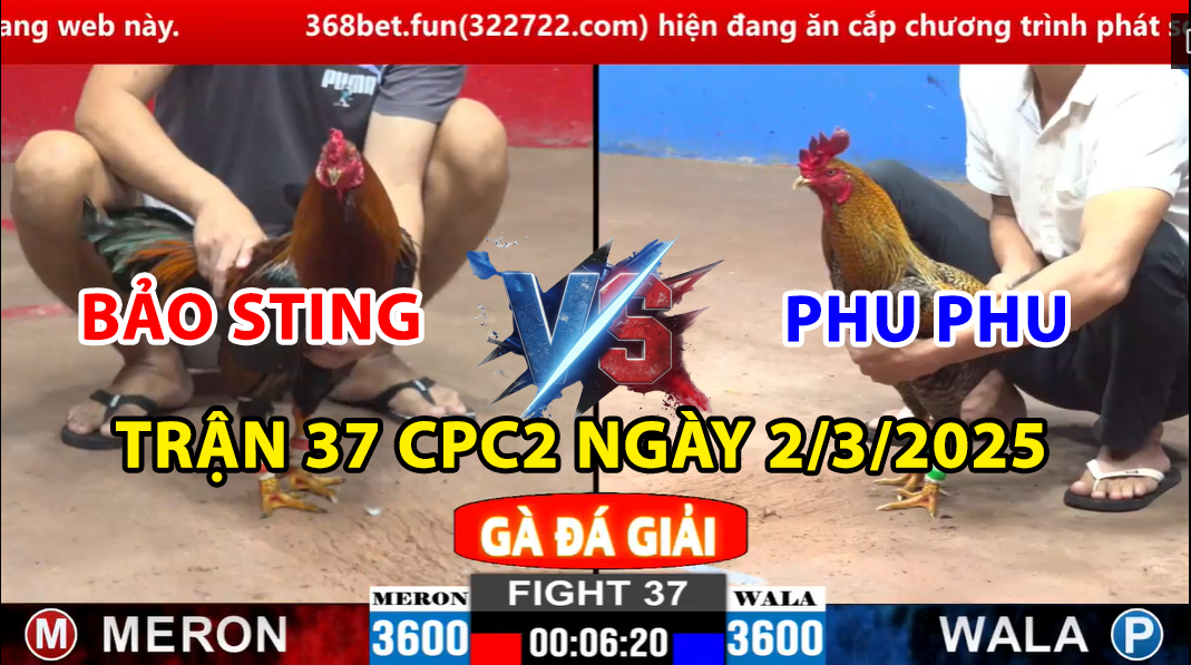 TRẬN 37 CPC2 NGÀY 2/3/2025 - CÚ XANH CỦA PHU PHU ĐÁ BẢO STING NÁ THỞ 6 trận 37 cpc2 ngày 2/3/2025 hôm nay bảo sting vs phu phu